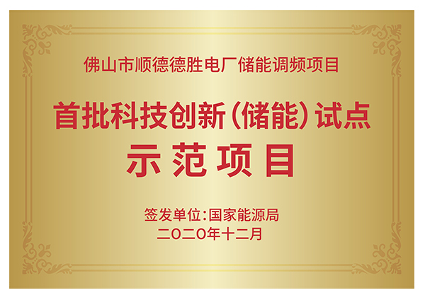 國家能源局首批科技創新（儲能）試點示範單位