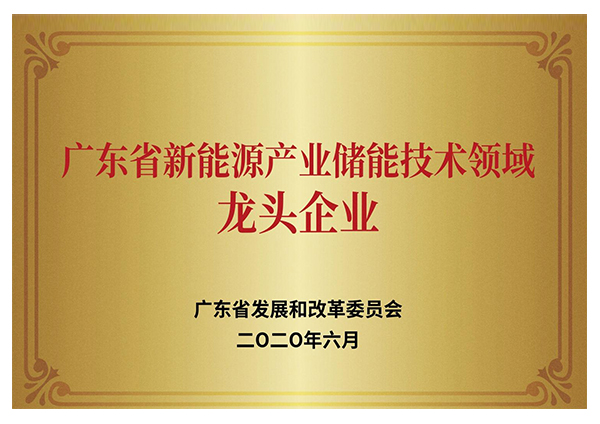 廣東省新能源産業儲能技術領域龍頭企業