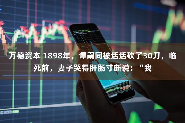 万德资本 1898年，谭嗣同被活活砍了30刀，临死前，妻子哭得肝肠寸断说：“我