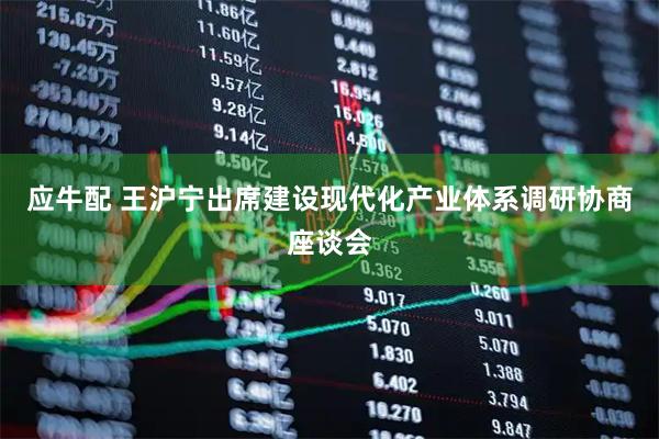 应牛配 王沪宁出席建设现代化产业体系调研协商座谈会